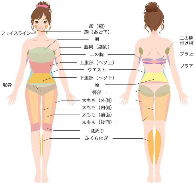 ベイザー脂肪吸引で部分痩せ 西新宿杉江中央クリニック ベイザー脂肪吸引で部分痩せ 西新宿杉江中央クリニック