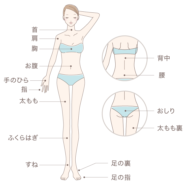 体の施術可能部位