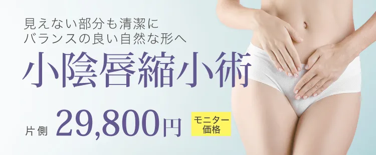 小陰唇縮小
